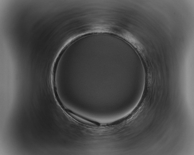 X0000097821334200803201430