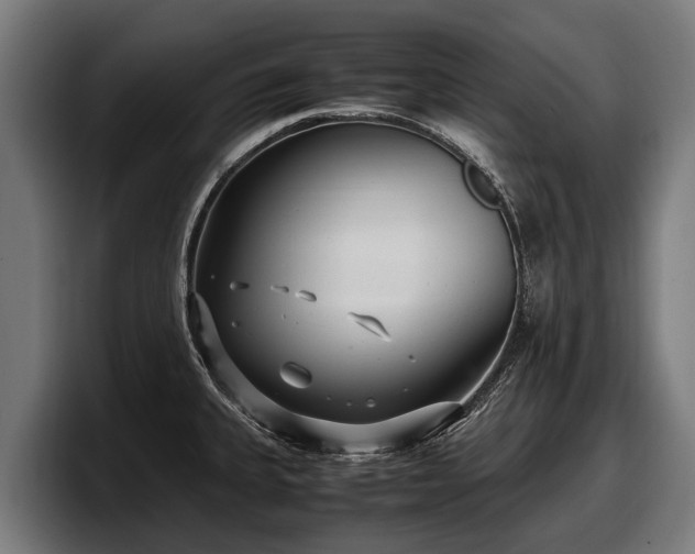 X0000097821335200803201430