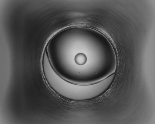 X0000097821344200803201430