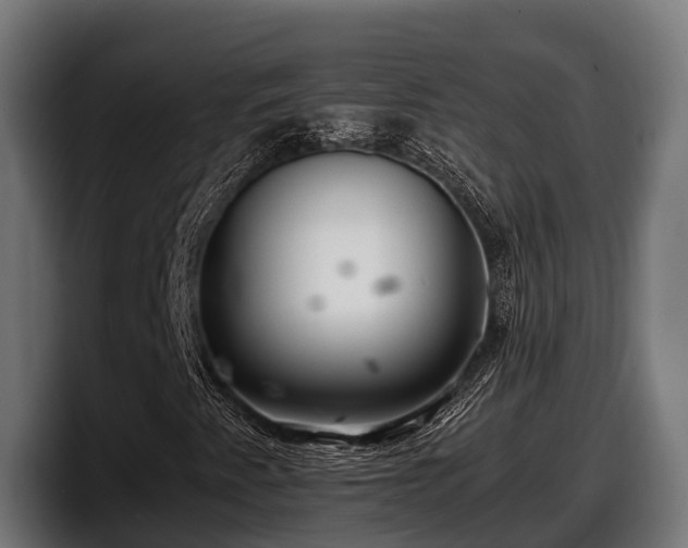 X0000097821345200803201429