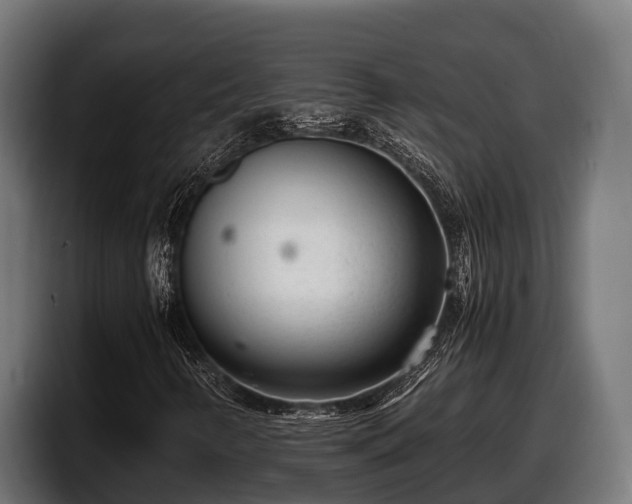 X0000097821346200803201429