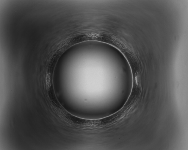 X0000097821347200803201429