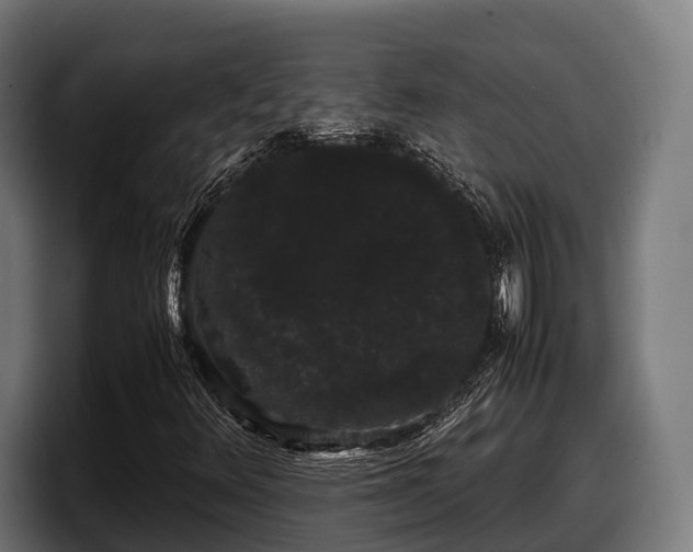 X0000097821348200803201429