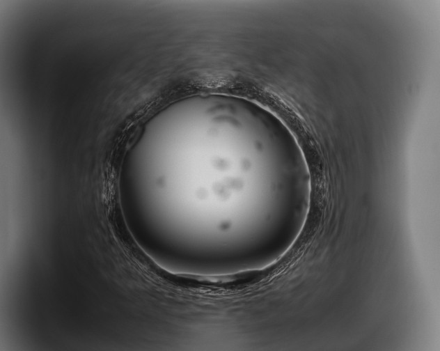 X0000097821349200803201429