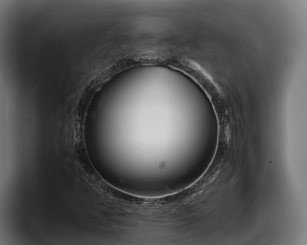 X0000097821350200803201429