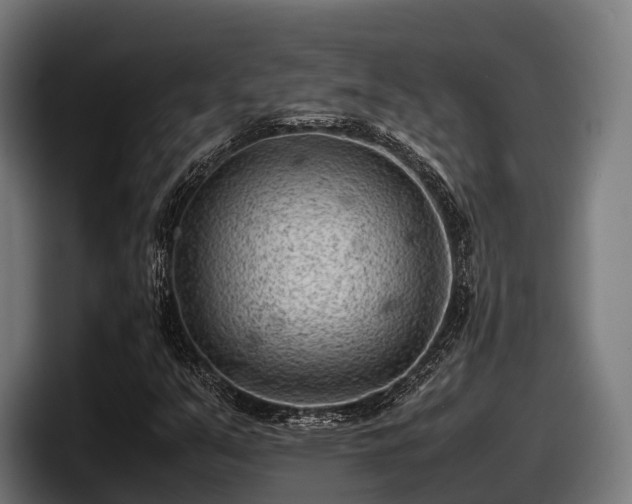 X0000097821351200803201429