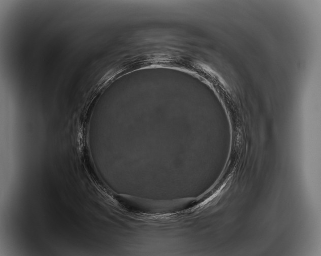 X0000097821353200803201429