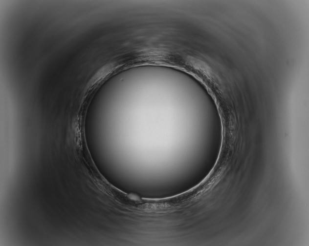 X0000097821354200803201429