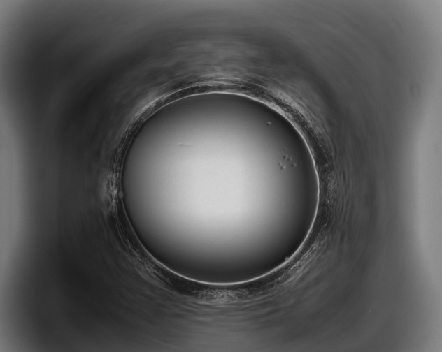 X0000097821355200803201429