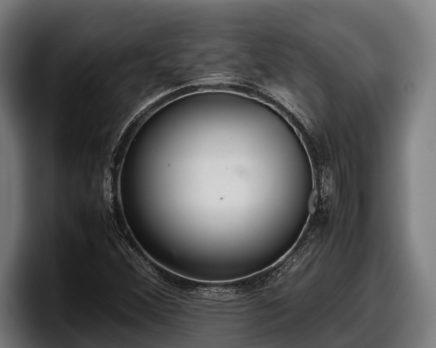 X0000097821356200803201429