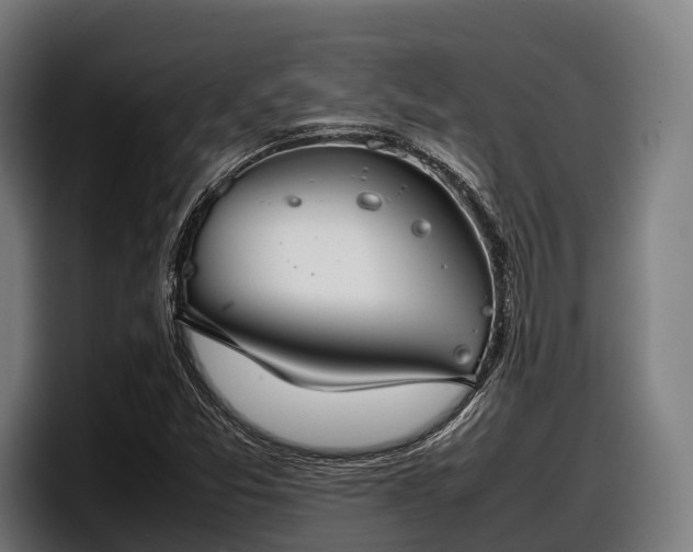 X0000097821357200803201429