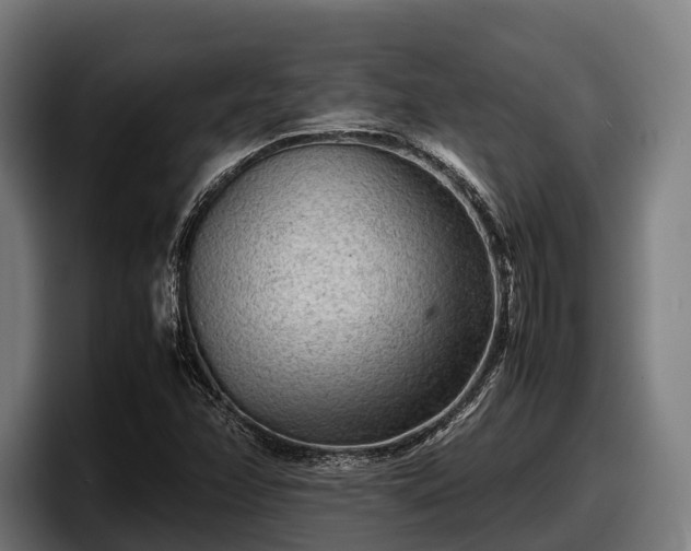 X0000097821358200803201429