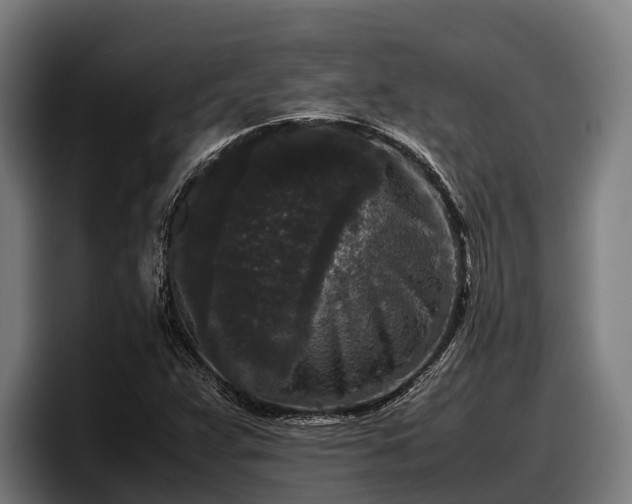 X0000097821359200803201429