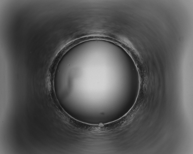 X0000097821360200803201429