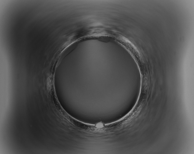 X0000097821361200803201429