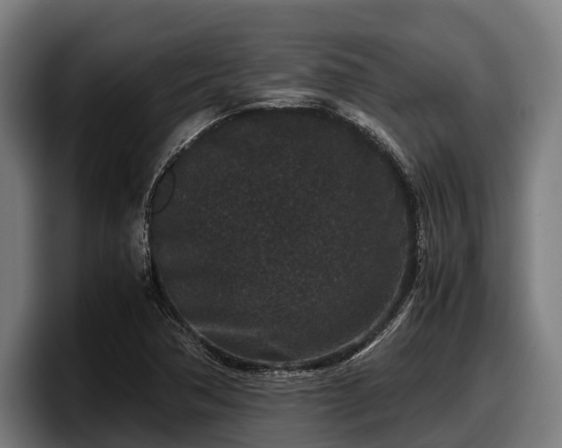 X0000097821362200803201429