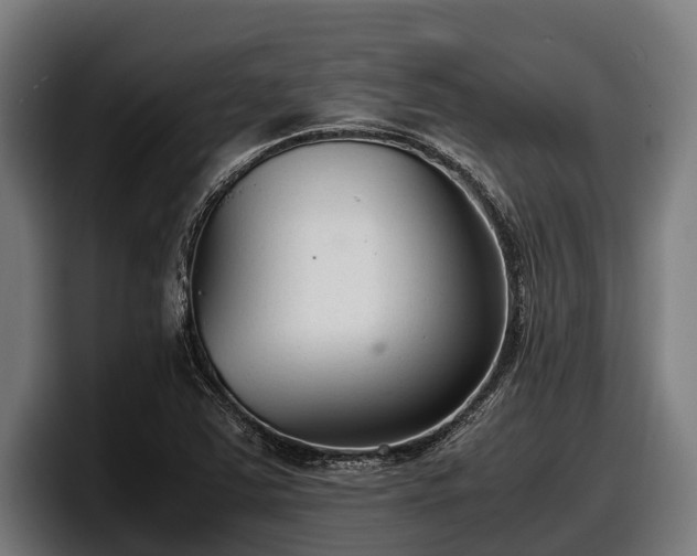 X0000097821363200803201429