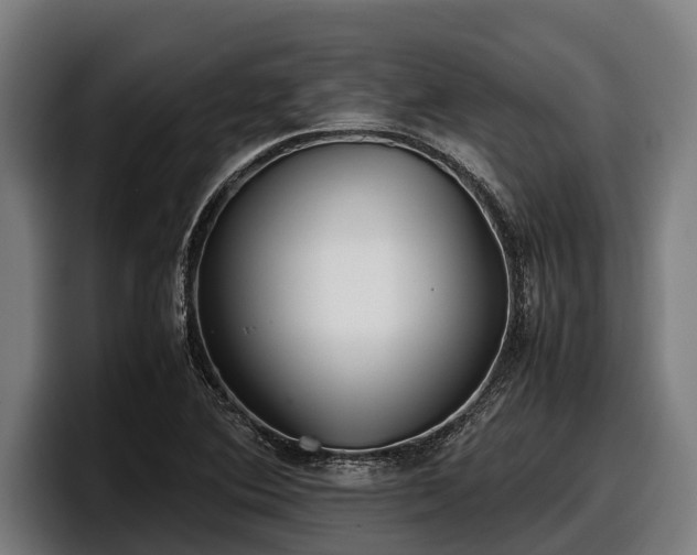 X0000097821364200803201429