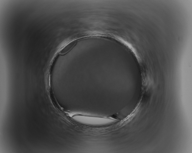 X0000097821365200803201429