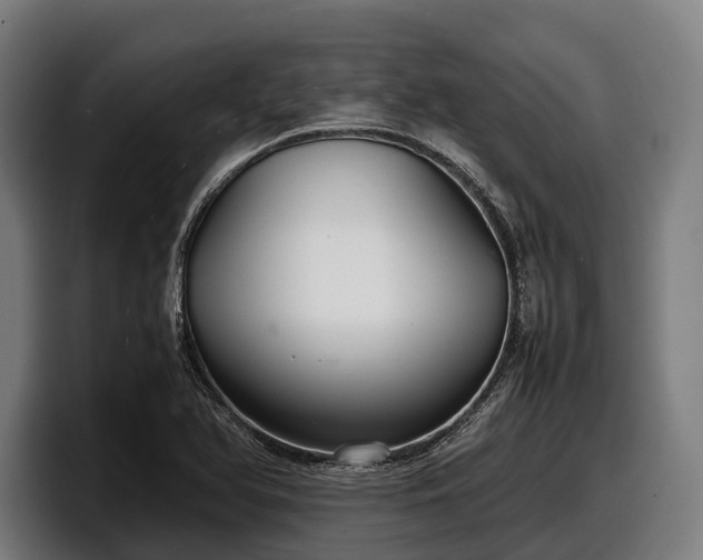 X0000097821366200803201429