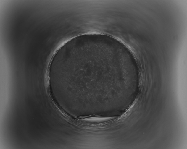 X0000097821367200803201429