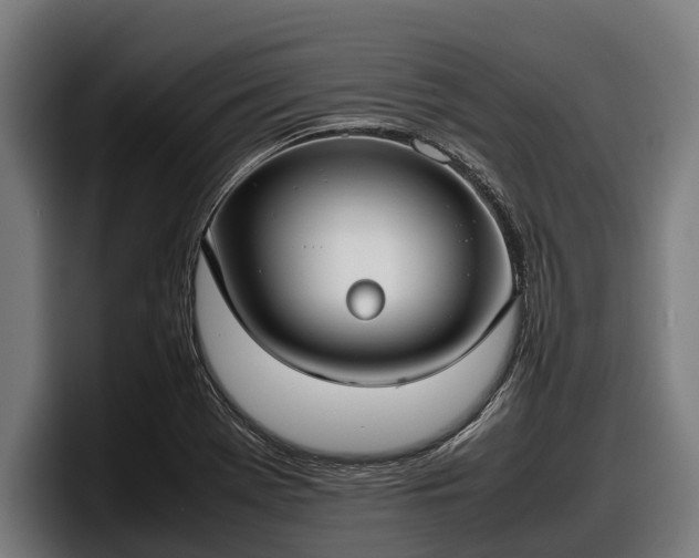 X0000097821369200803201429