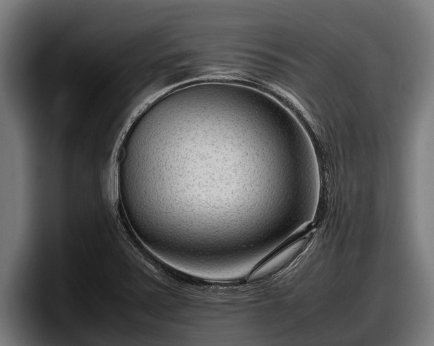 X0000097821371200803201429