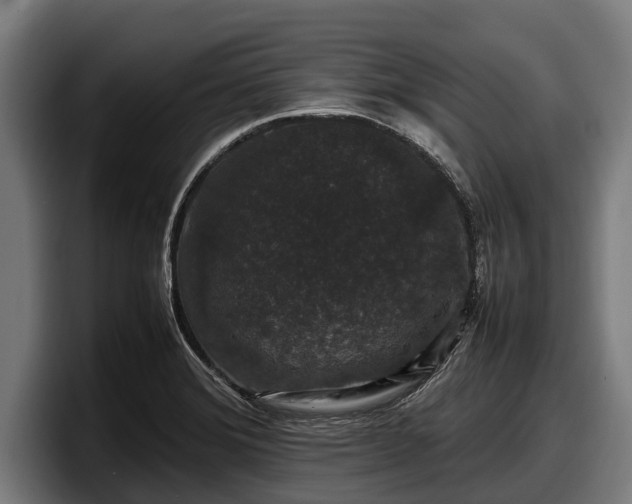 X0000097821372200803201429