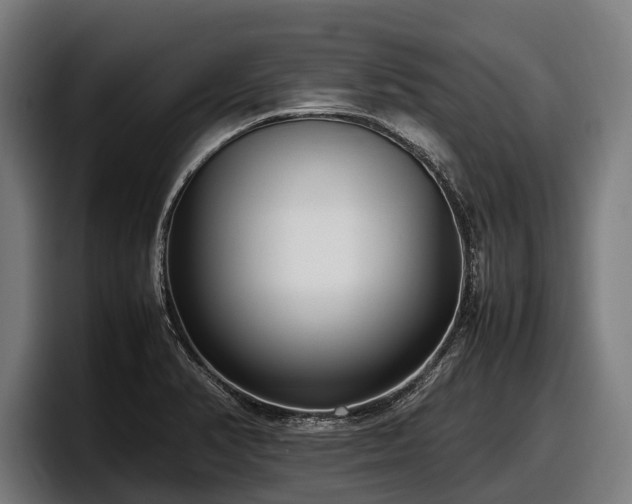 X0000097821374200803201429