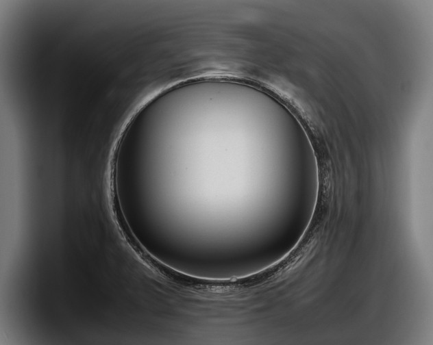 X0000097821375200803201429