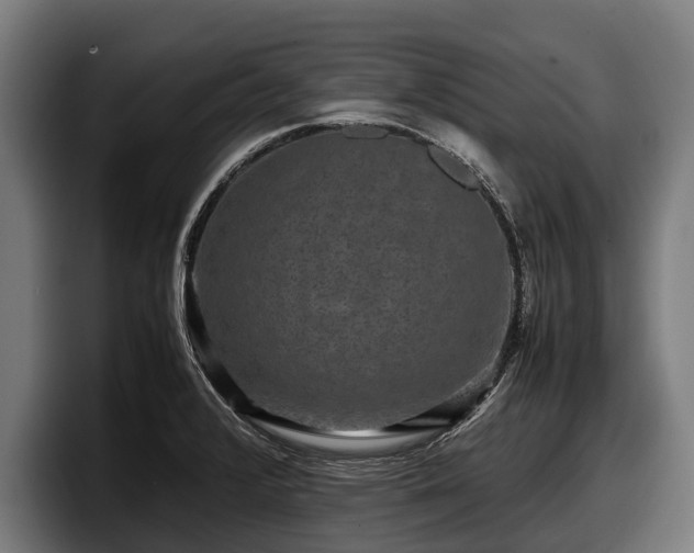 X0000097821376200803201429