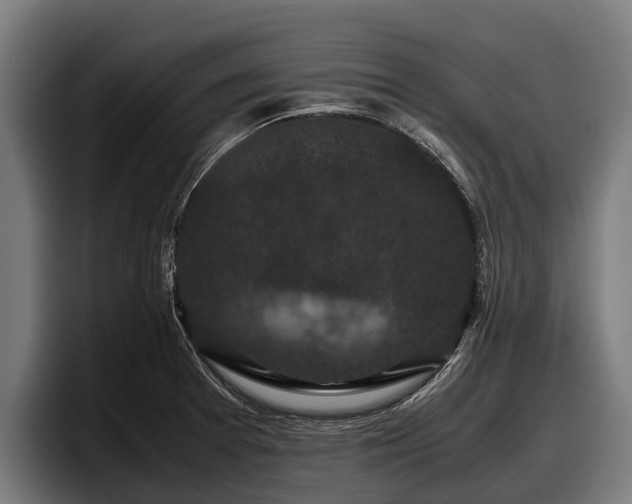 X0000097821377200803201429