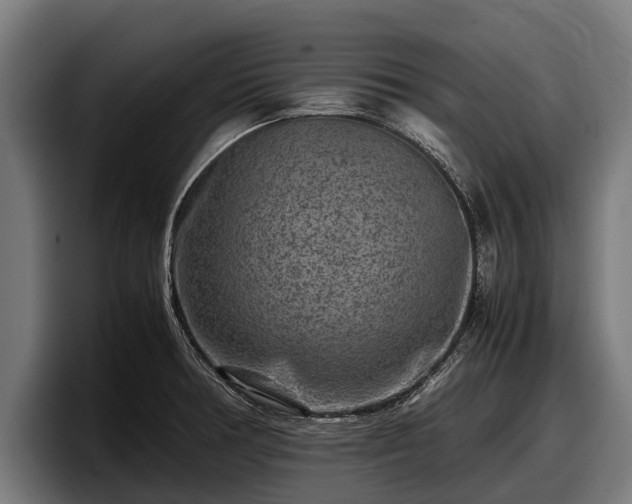 X0000097821378200803201429