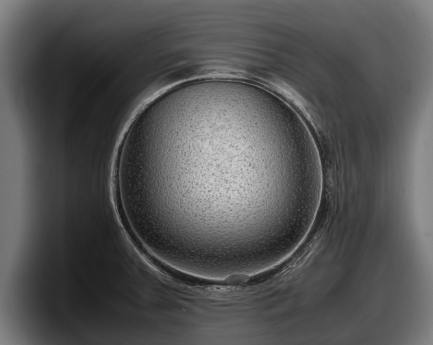 X0000097821379200803201429