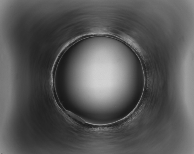 X0000097821380200803201429