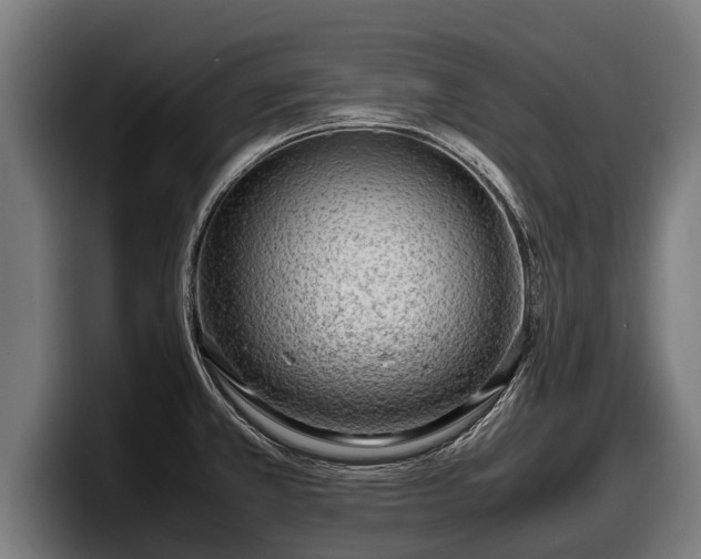 X0000097821381200803201429