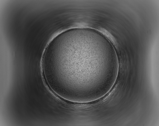 X0000097821382200803201429