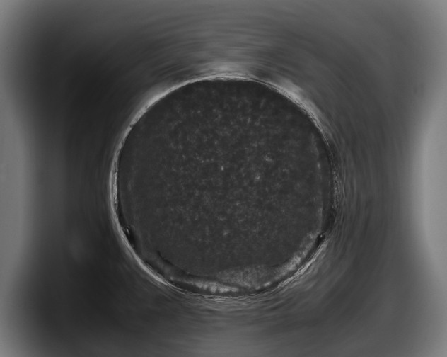 X0000097821383200803201429