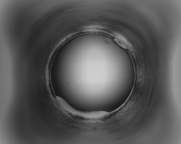 X0000097821384200803201429