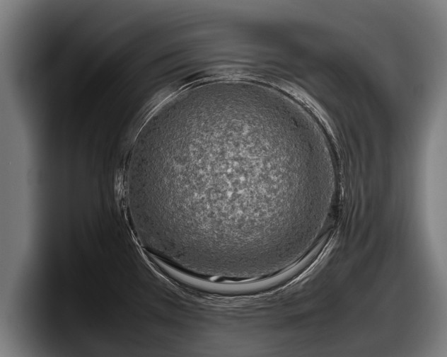X0000097821385200803201429