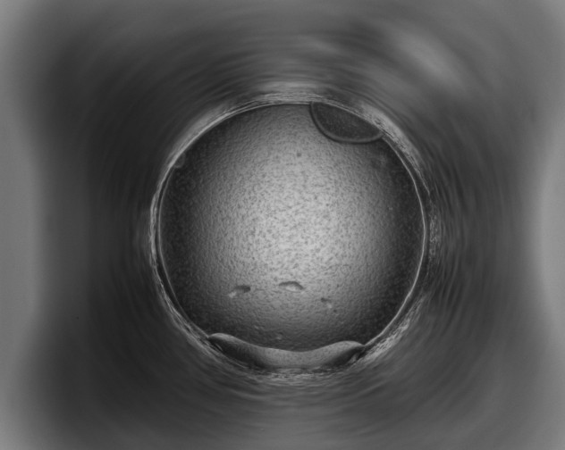 X0000097821386200803201429