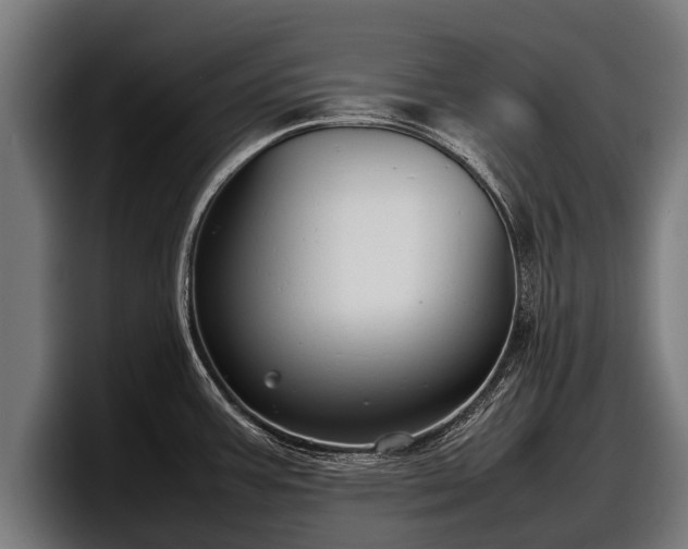 X0000097821387200803201429