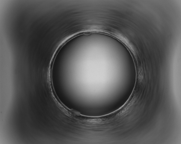 X0000097821388200803201429