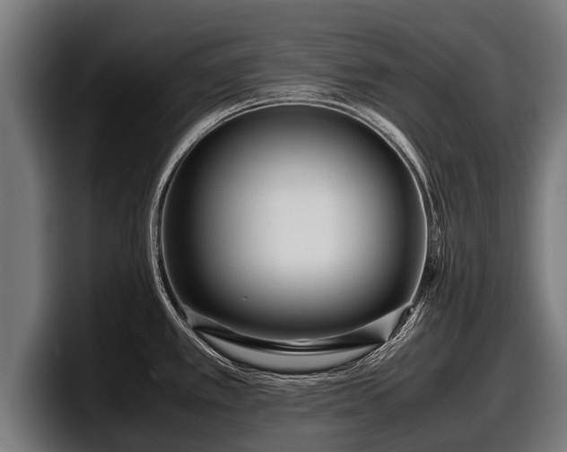 X0000097821389200803201429