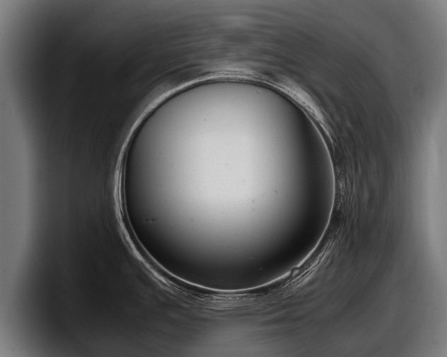 X0000097821391200803201429