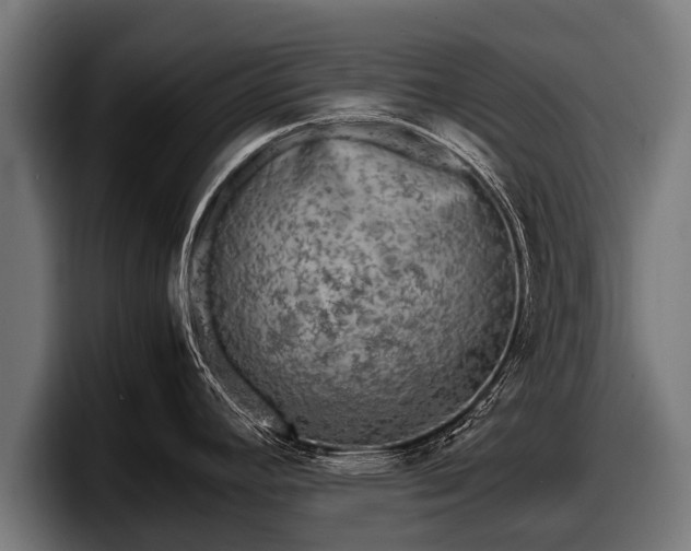 X0000097821392200803201429