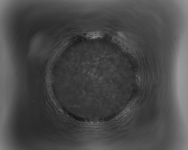 X0000097821393200803201428