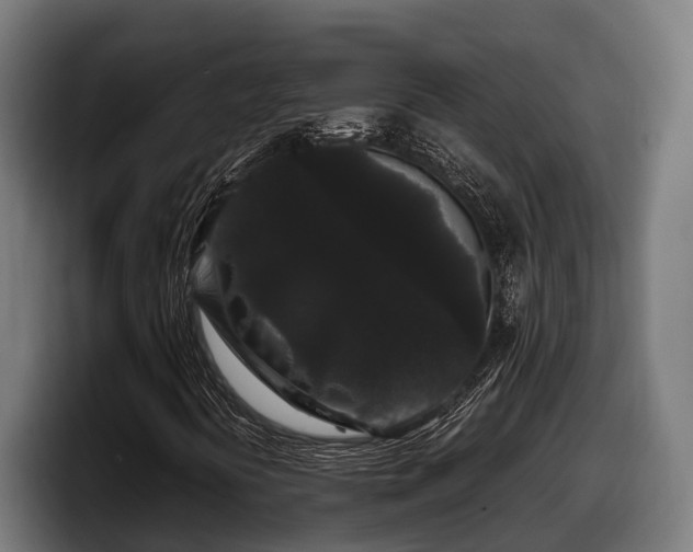 X0000097821394200803201428