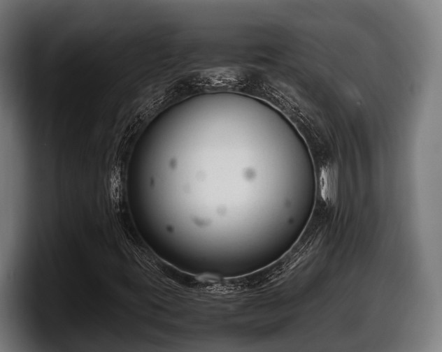 X0000097821395200803201428