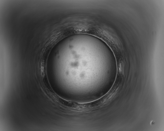 X0000097821396200803201428